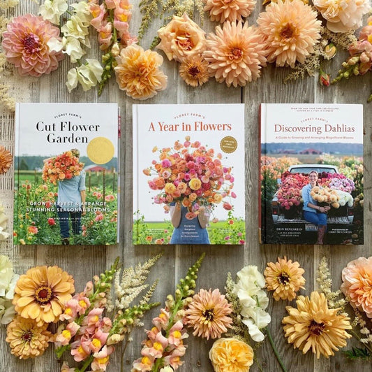 Floret’s 3 books:-  Cut flower Garden,  A Year in Flowers, Discovering Dahlias , laid out on Erin’s studio table. 