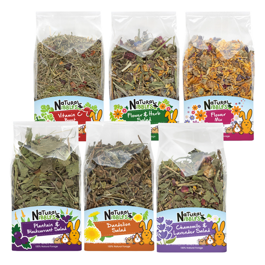 Pet Salad | 6pc Selection Pack