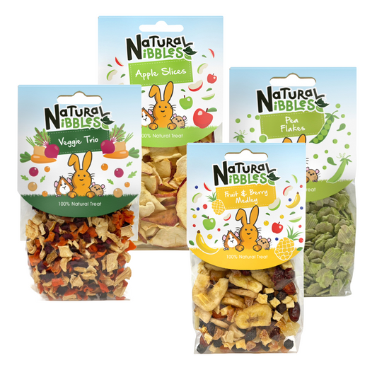 Pet Snack | 4pc Selection Pack