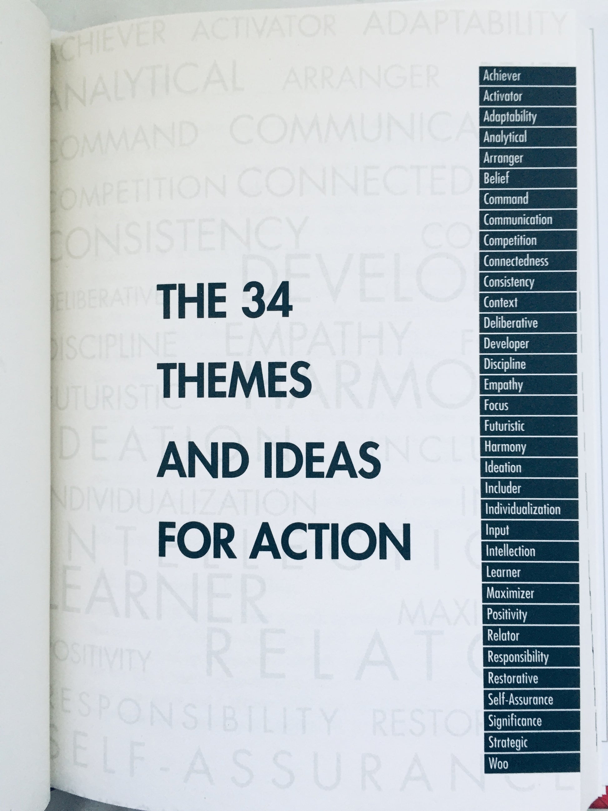 Book - The 34 Themes & Ideas for Action