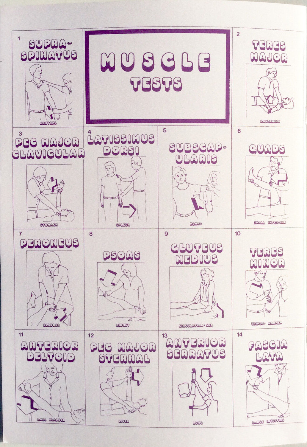 Color for Health (T4H Manual)